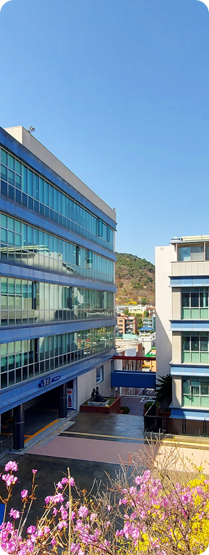 배화여자대학교 전경